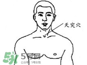 三伏貼能治過敏性鼻炎嗎？三伏貼治過敏性鼻炎貼哪里？
