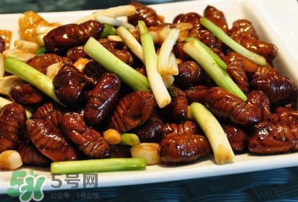孕婦可以吃蟬蛹嗎？懷孕吃蟬蛹有沒有副作用