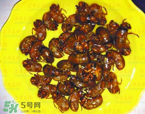 知了猴能淹死嗎？知了猴哪個(gè)部位不能吃？