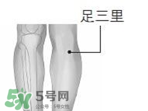 三伏貼能治過敏性鼻炎嗎？三伏貼治過敏性鼻炎貼哪里？