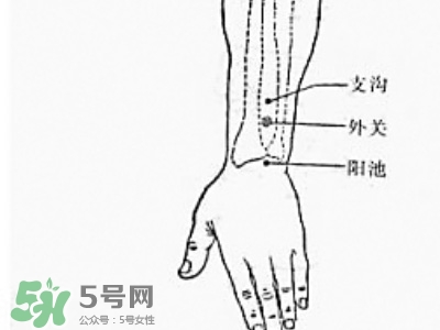 三伏貼能治過敏性鼻炎嗎？三伏貼治過敏性鼻炎貼哪里？