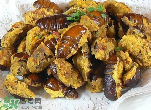 水煮蟬蛹怎么做？蟬蛹煮多久可以熟？