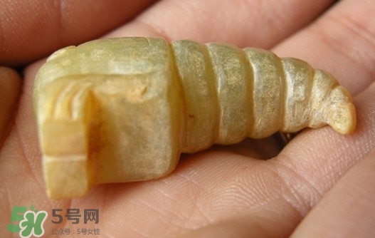 蟬蛹能吃嗎？蟬蛹怎么做好吃