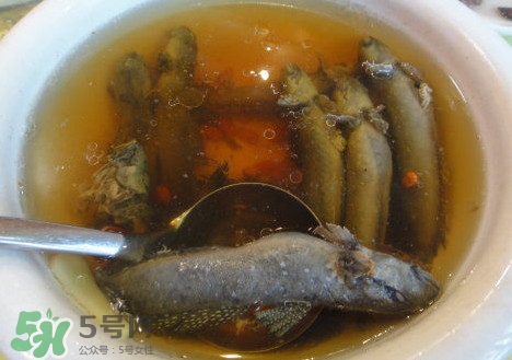 跳跳魚多少錢一斤？跳跳魚是淡水魚嗎？