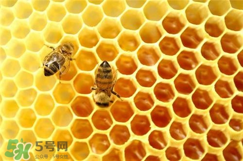 三伏貼能治過敏性鼻炎嗎？三伏貼治過敏性鼻炎貼哪里？