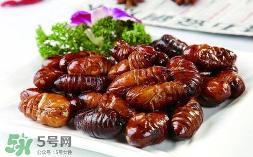 蟬蛹什么人不能吃？蟬蛹不能和什么一起吃