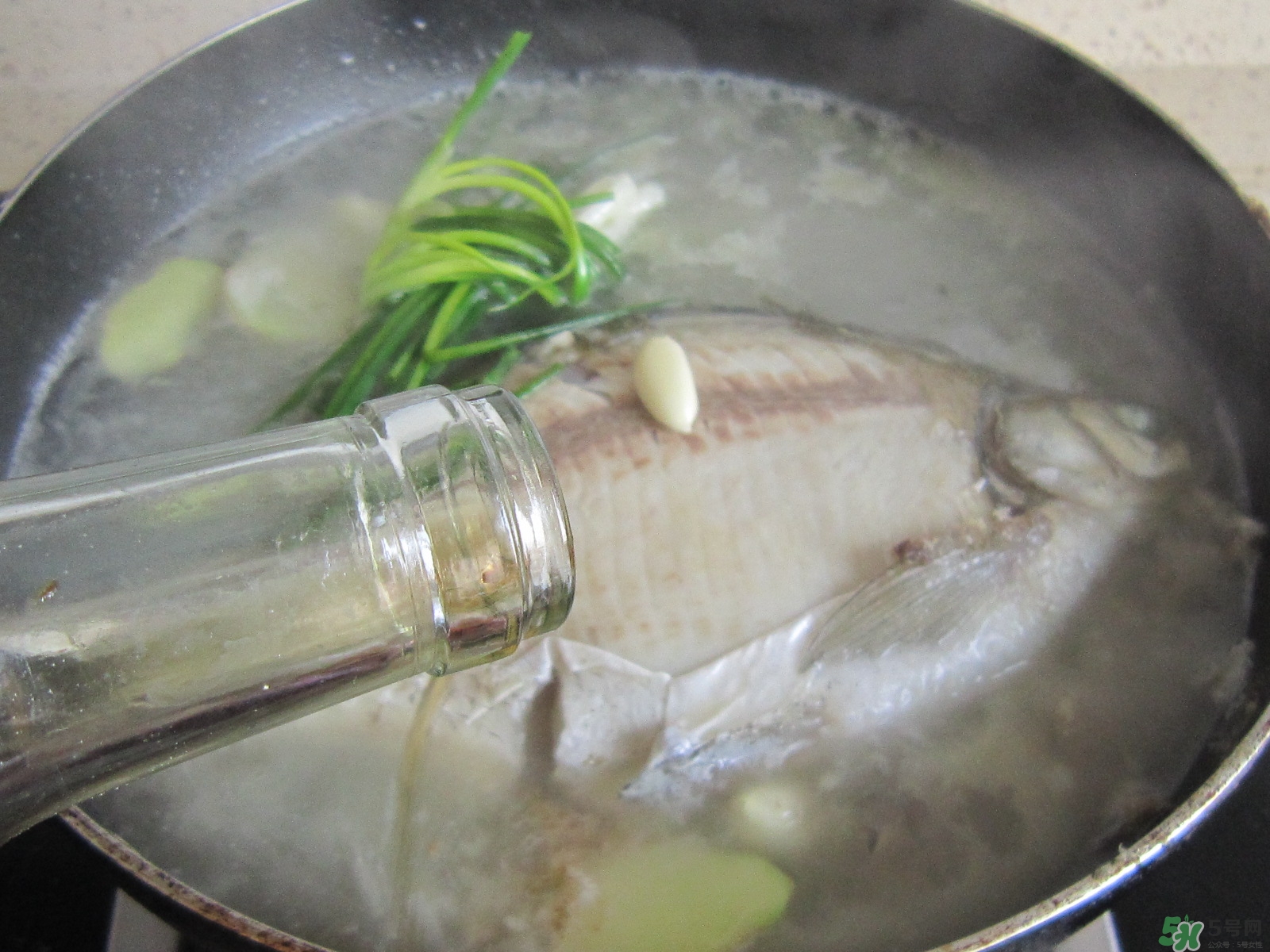 三伏灸可以吃魚嗎？三伏灸可以吃什么魚？