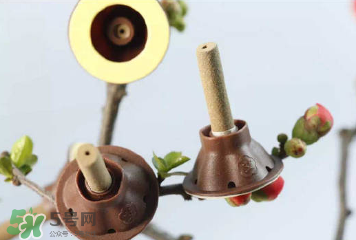 艾灸貼什么時候貼最好？艾灸貼晚上可以用嗎？