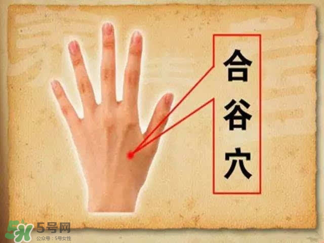 三伏灸可以去除體內濕氣嗎？三伏灸可以去濕氣嗎？