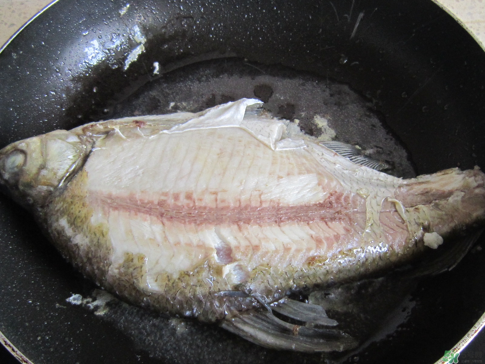 三伏灸可以吃魚嗎？三伏灸可以吃什么魚？
