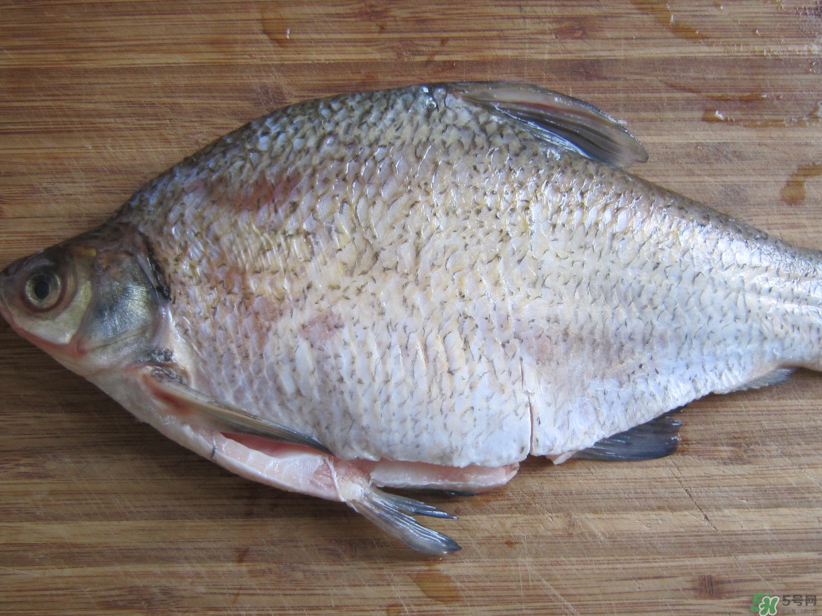 三伏灸可以吃魚嗎？三伏灸可以吃什么魚？
