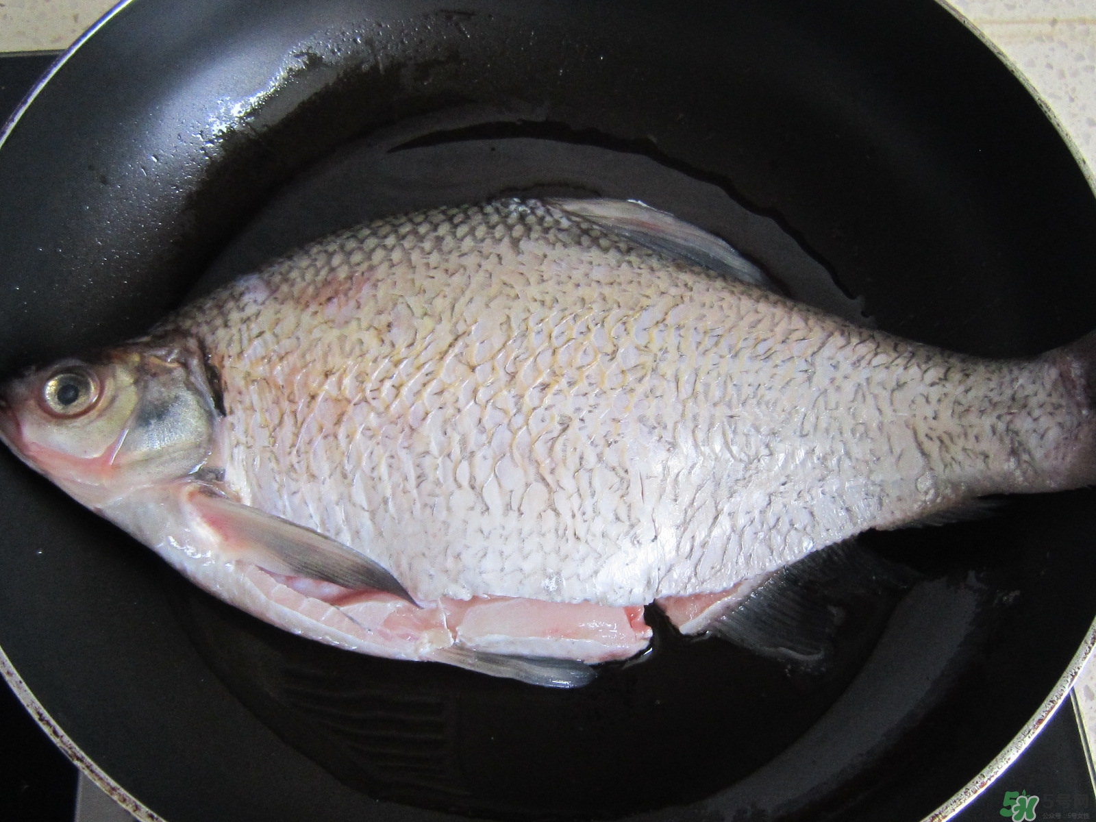 三伏灸可以吃魚嗎？三伏灸可以吃什么魚？