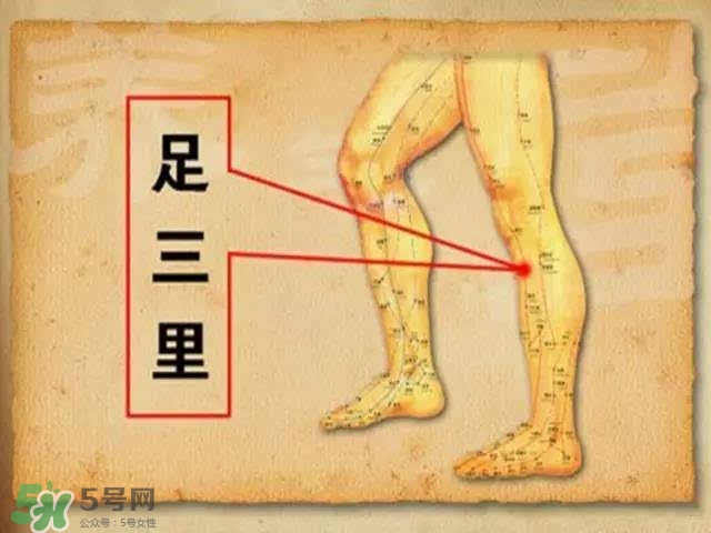 三伏灸可以去除體內濕氣嗎？三伏灸可以去濕氣嗎？