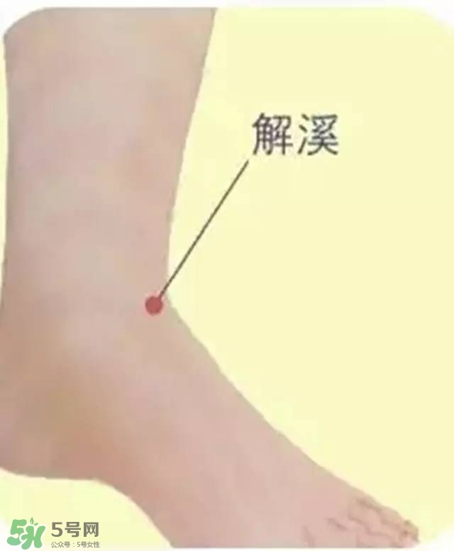 三伏灸可以去除體內濕氣嗎？三伏灸可以去濕氣嗎？