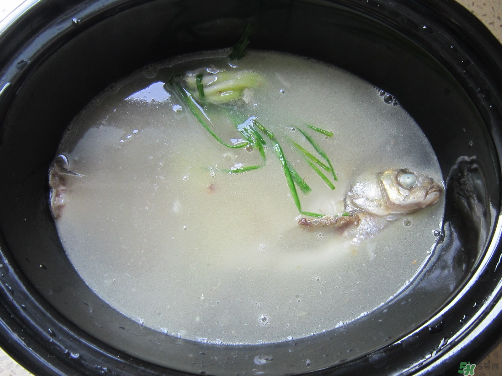 三伏灸可以吃魚嗎？三伏灸可以吃什么魚？