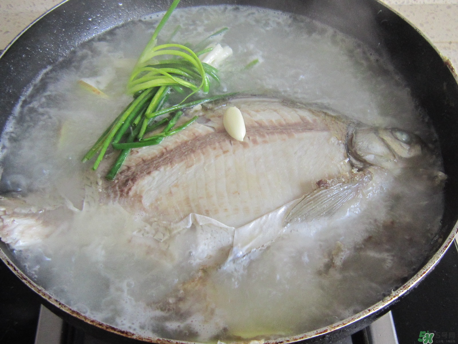 三伏灸可以吃魚嗎？三伏灸可以吃什么魚？