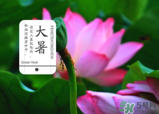 大暑和處暑是什么意思？大暑熱還是處暑熱？
