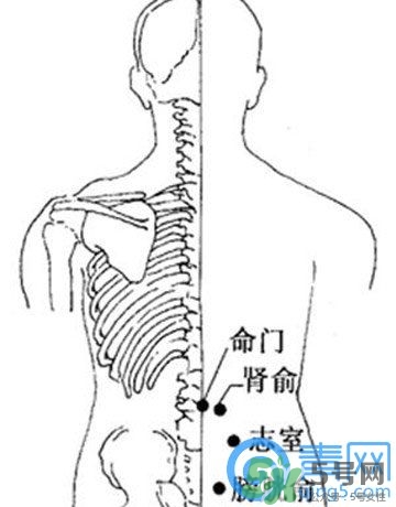 三伏灸可以治腰腿痛嗎？三伏灸治腰腿痛灸哪里》