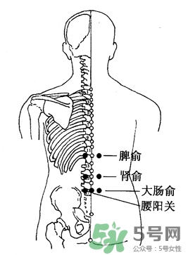 三伏灸可以治腰腿痛嗎？三伏灸治腰腿痛灸哪里》