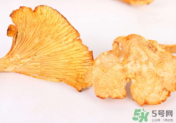 雞油菌多少錢一斤？雞油菌和雞樅菌有什么區(qū)別