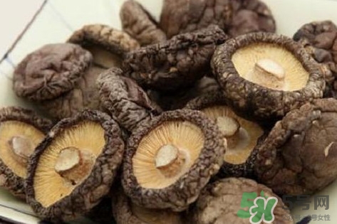 香菇是蘑菇嗎？香菇和蘑菇有什么區(qū)別