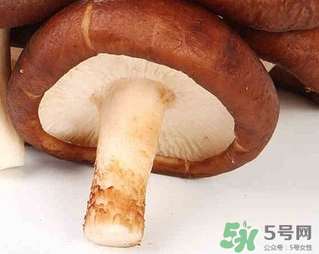 香菇是蘑菇嗎？香菇和蘑菇有什么區(qū)別