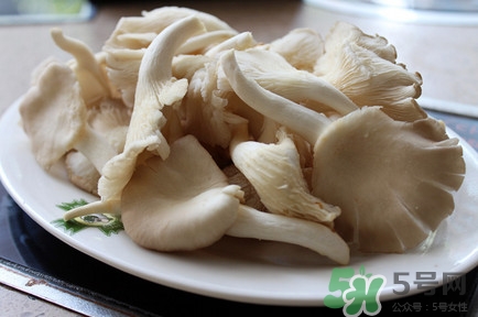 平菇怎么吃最有營養(yǎng)？平菇長白毛還能吃嗎