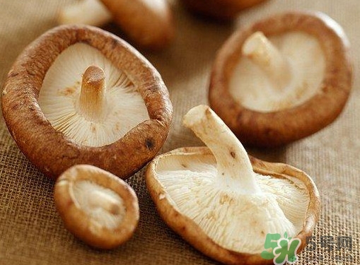 買香菇怎么挑選？干香菇怎么挑選？