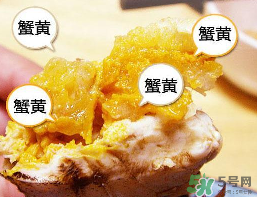 六月黃大閘蟹好吃嗎？六月黃和大閘蟹有什么區(qū)別？
