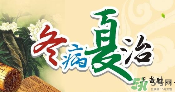 三伏灸要灸幾次？三伏灸要灸多久？