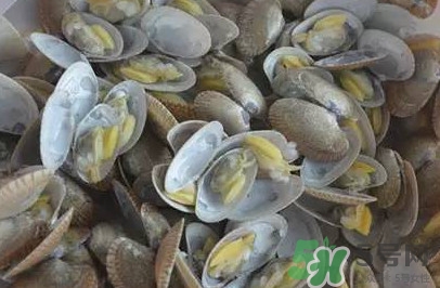 花蛤蜊什么時(shí)候最肥？花蛤蜊怎么挑選