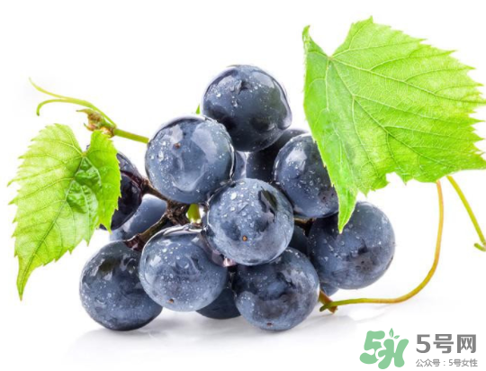 夏黑葡萄為什么掉色？夏黑葡萄怎么會(huì)染色？