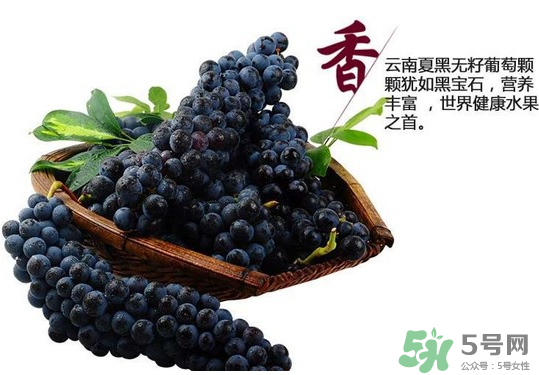 夏黑葡萄怎么保存？夏黑葡萄可以放冰箱嗎？