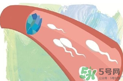 男性避孕藥什么牌子好？男性避孕藥多少錢一盒？