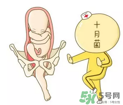 胎位不正能順產(chǎn)嗎？胎位不正怎么辦？