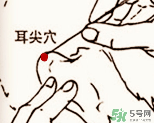 什么是放血療法？放血療法能治什么病
