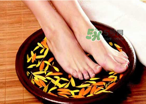 三伏天能用姜泡腳嗎？三伏天用姜泡腳好嗎？