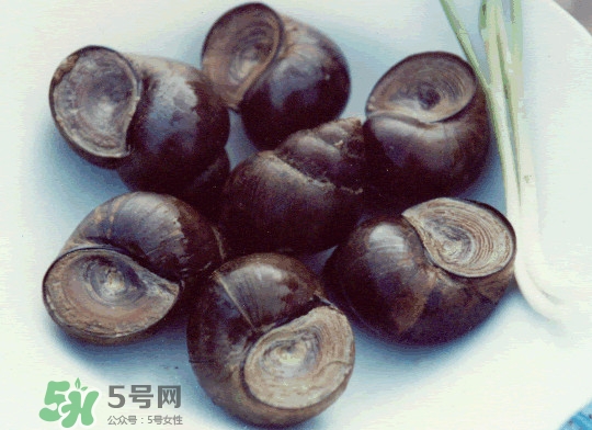 田螺是發(fā)物嗎？田螺是海鮮嗎