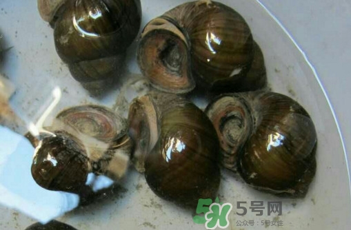 田螺里面都可以吃嗎？田螺不能和什么同食