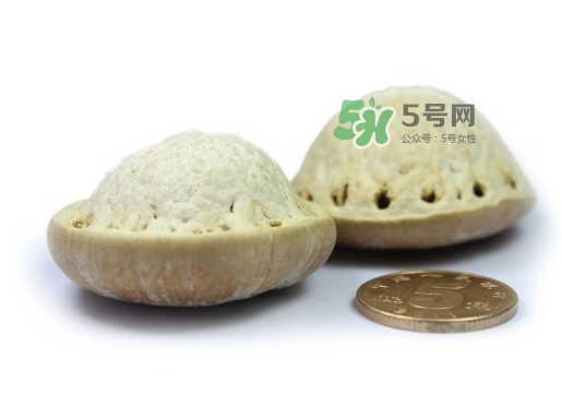 風(fēng)流果泡酒要不要敲碎？壯陽(yáng)果泡水要不要敲碎？