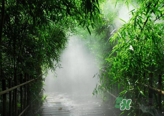2017大暑會(huì)不會(huì)下雨？2017大暑下雨好嗎？