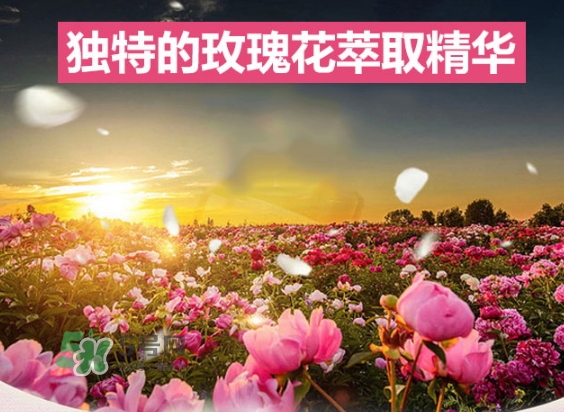 資生堂玫瑰園沐浴露怎么樣？資生堂玫瑰園沐浴露多少錢