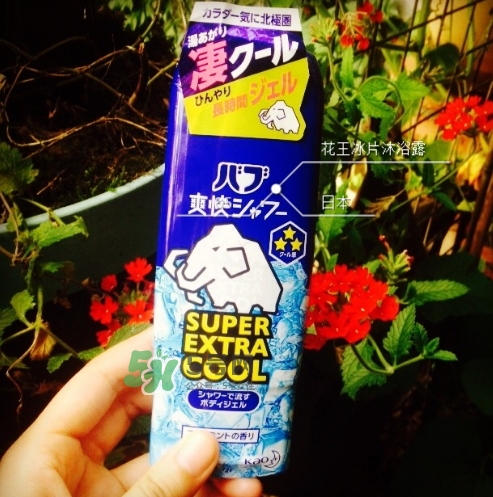 花王kao冰片沐浴露怎么樣？花王冰片沐浴露哪款好？