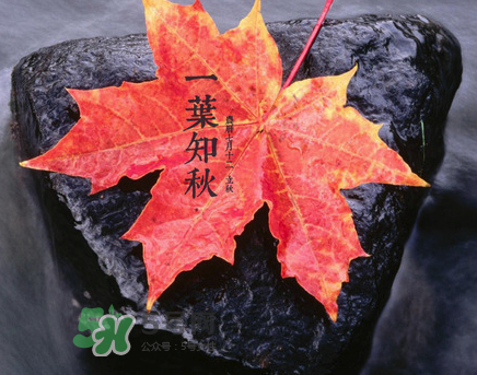 立秋后就是秋天了嗎？立秋后就涼快了嗎？