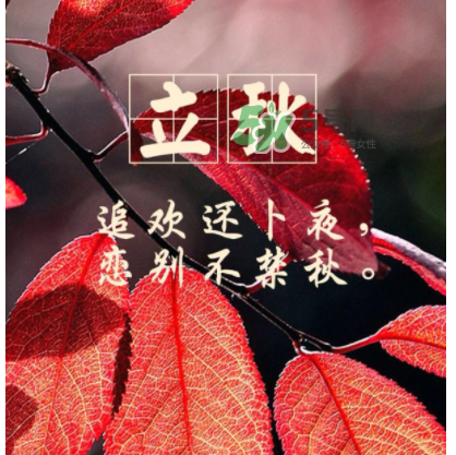 立秋后就是秋天了嗎？立秋后就涼快了嗎？