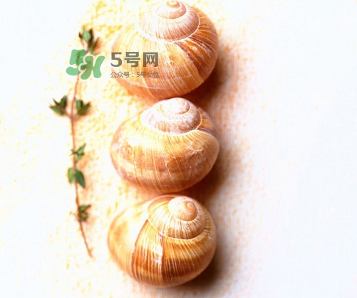 田螺是寒性的嗎？田螺煮多久殺死寄生蟲(chóng)