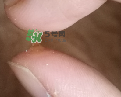 SKINCEUTICALS修麗可夜間精華怎么樣_好用嗎？