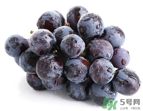 夏黑葡萄是轉基因嗎？夏黑無籽葡萄是不是轉基因的？