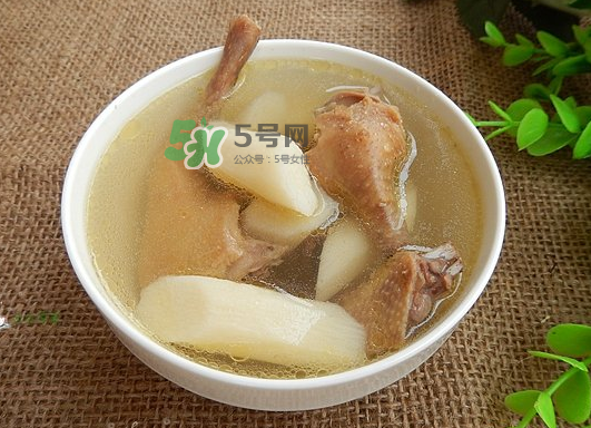 三伏天能吃鴿子嗎？三伏天能喝鴿子湯嗎？