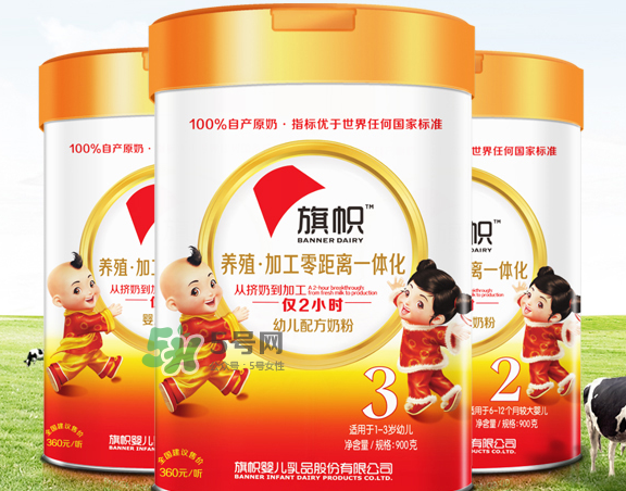 旗幟奶粉怎么樣？旗幟奶粉好不好？